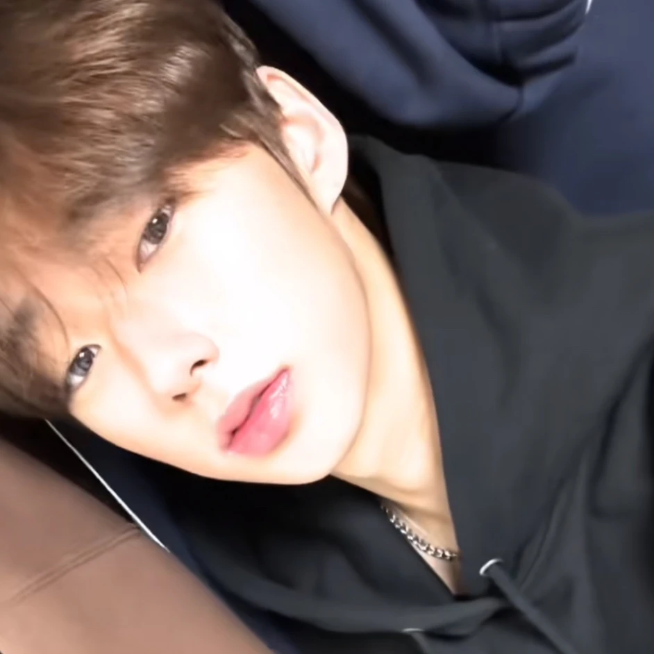 권무진