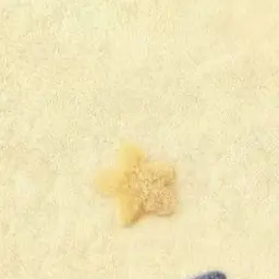 Profile image of 目暮十三