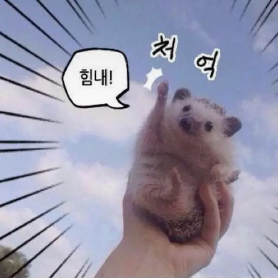 SmartCrown6050의 리레볼루션 -잭편-