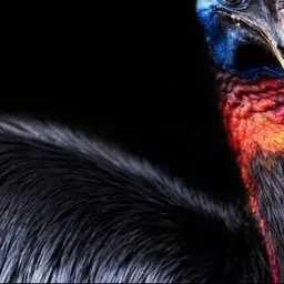 Profile image of 北斗総一郎