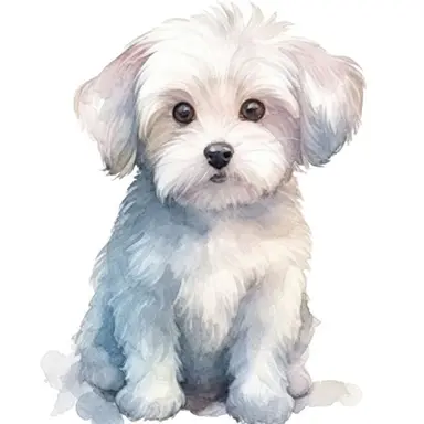 Profile image of 키빙