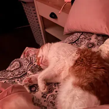 HerbalDeath7947의 Sleepover at Liam's House