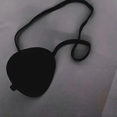 Profile image of 백사헌