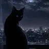 Profile image of Rai__