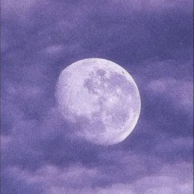 Profile image of 체셔