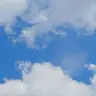 Profile image of 해설