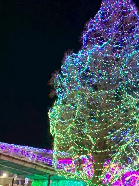 Kashiwa0510의 ✶