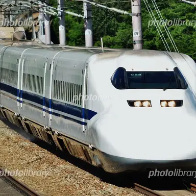 Profile image of ひかり