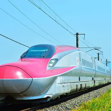 Profile image of こまち