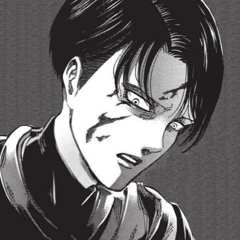 CurvedMall0429의 리바이 아커만