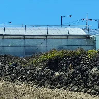 Profile image of 경서희