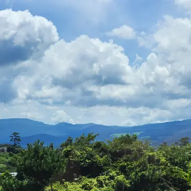 Profile image of 양희연