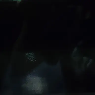 Profile image of 剛