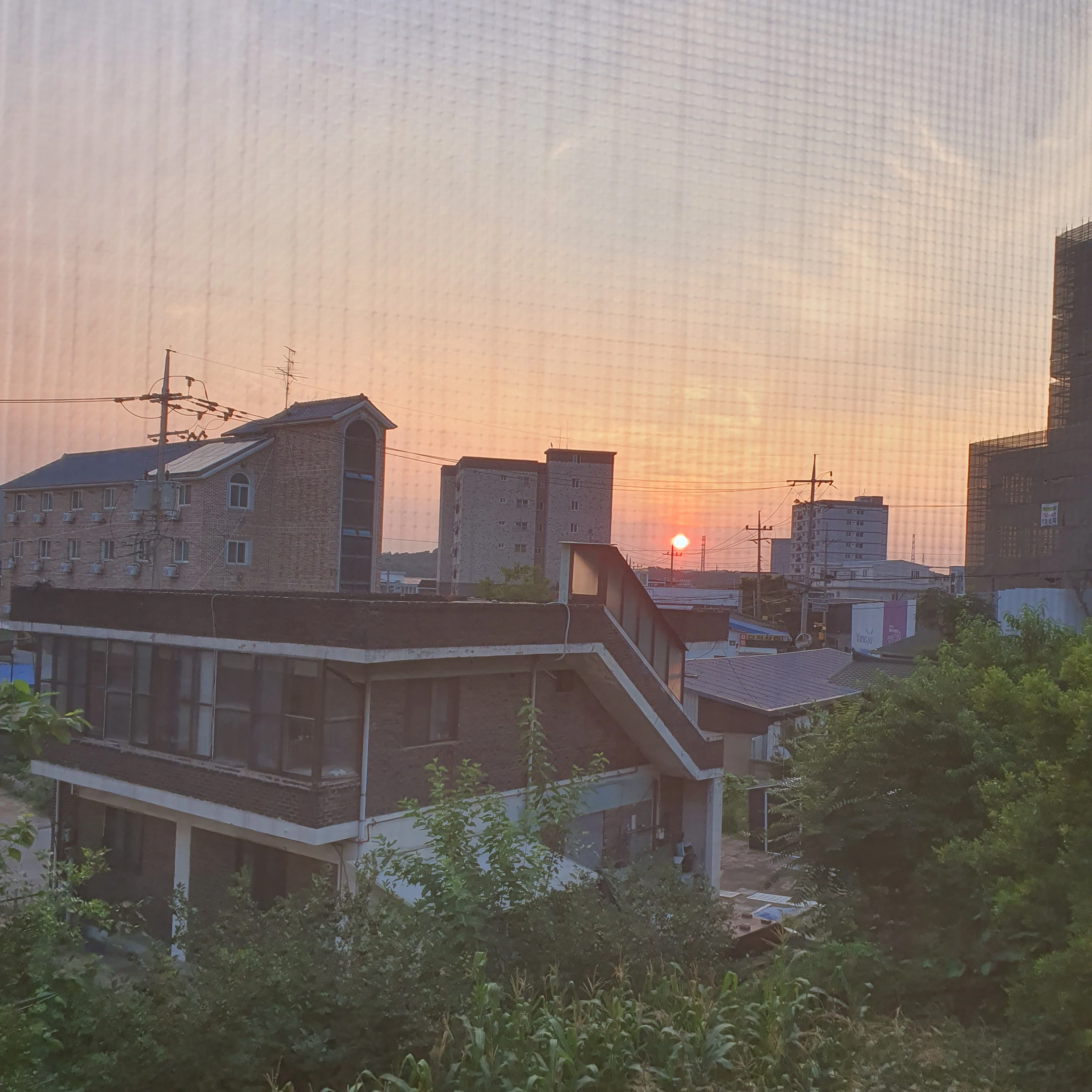 뜰팁