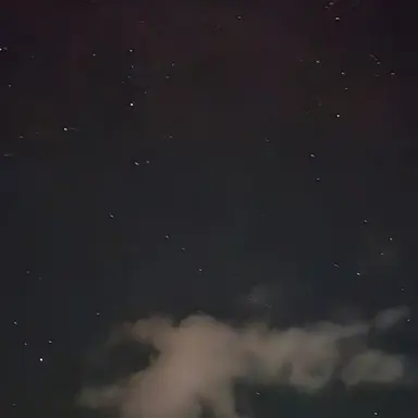 Profile image of カート