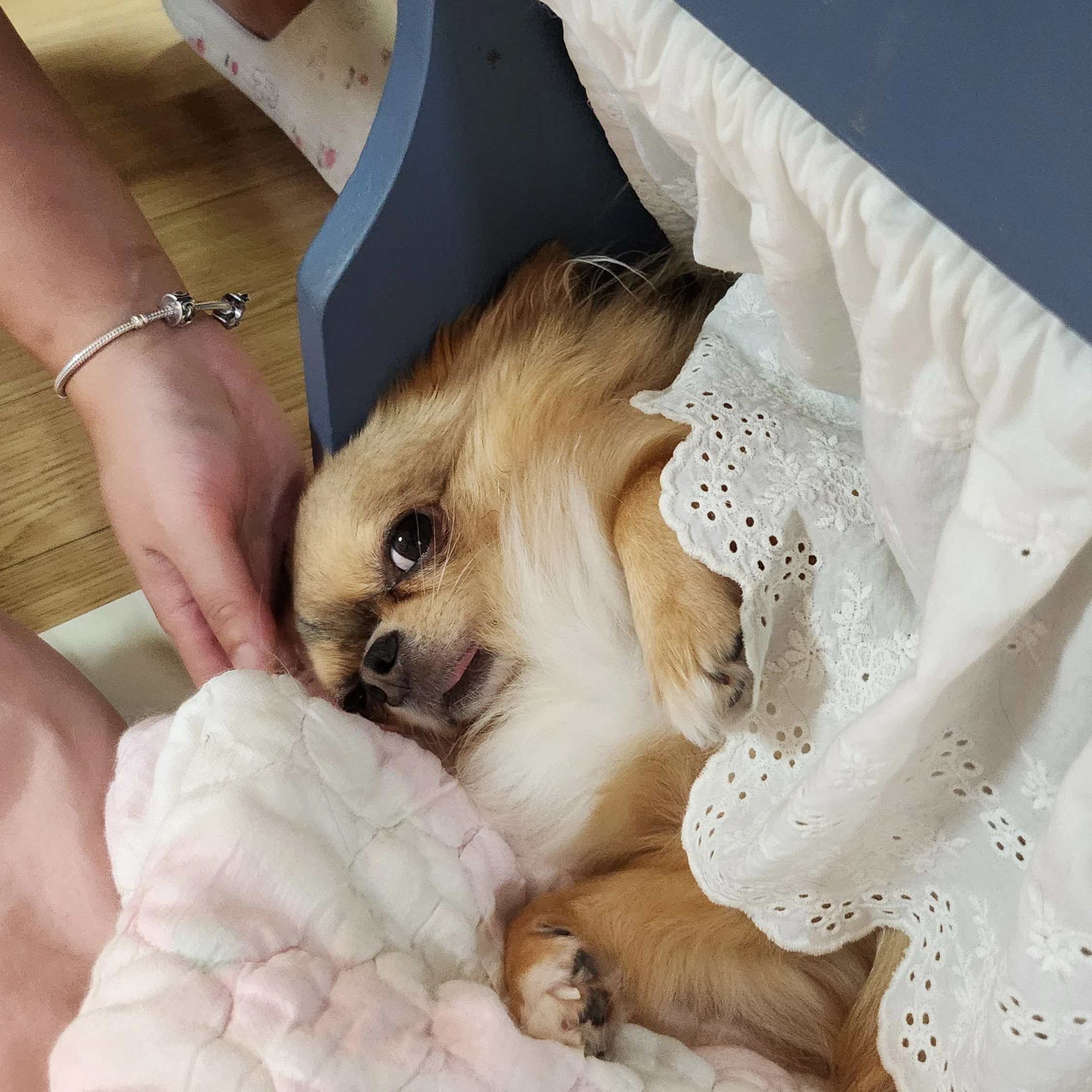 똥찌