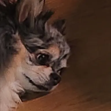 Profile image of 아라