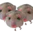 동물 모임