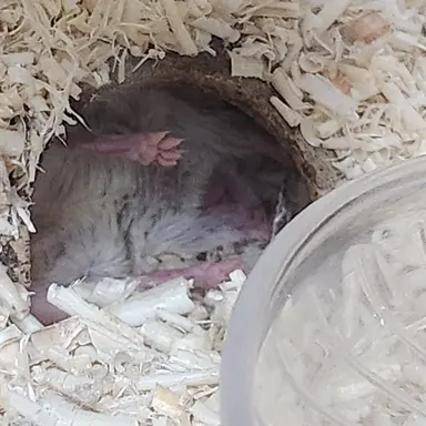 Profile image of 빌빌이