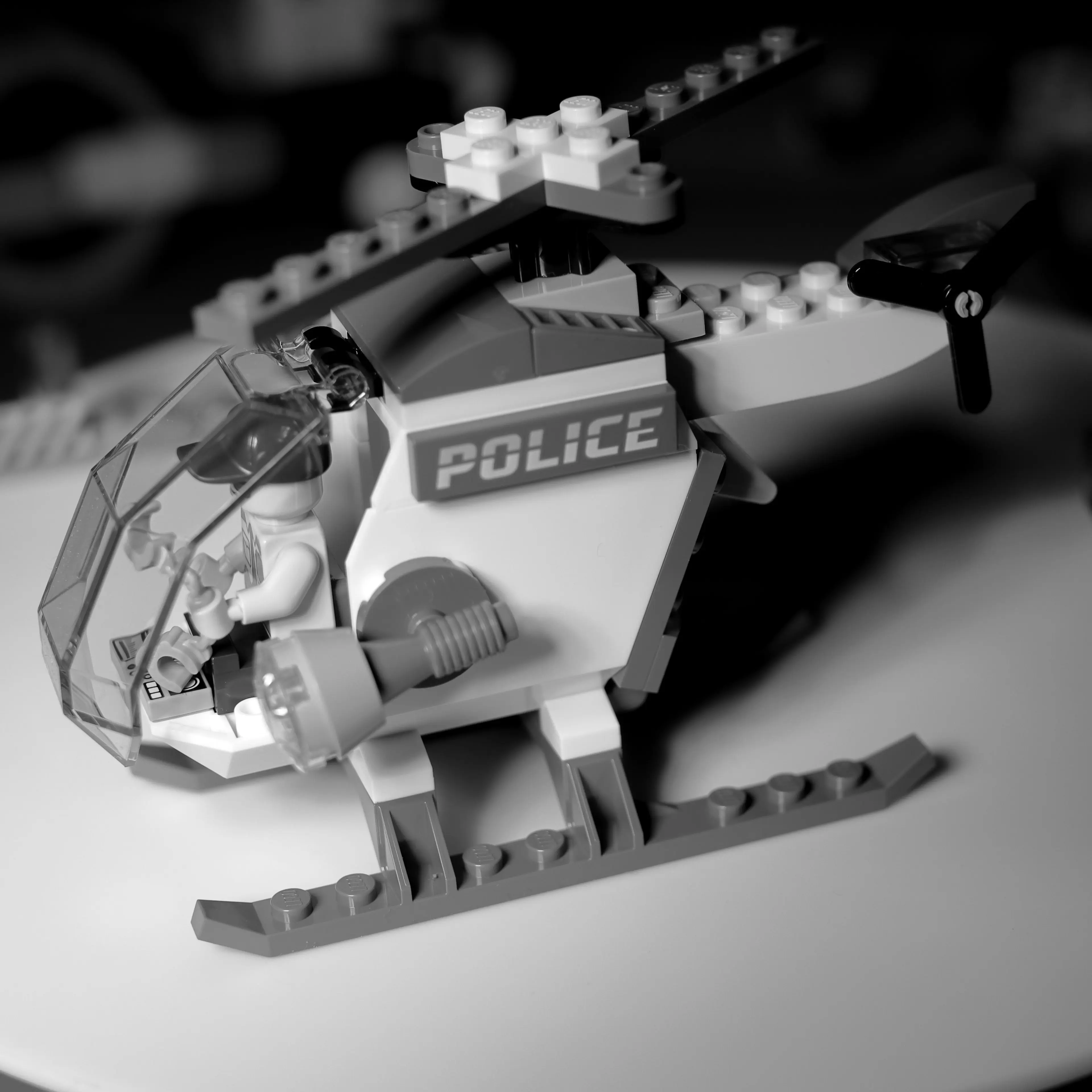 StockyKagu6844의 강시운