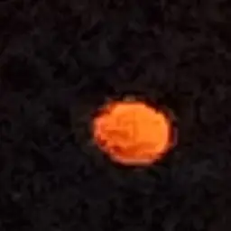 Profile image of 成れ果て達