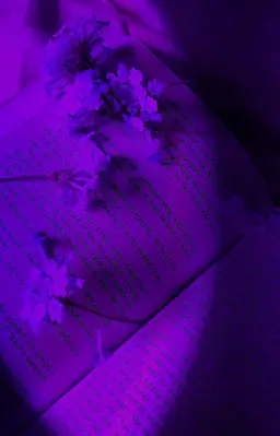 Profile image of Hwang Suhyun