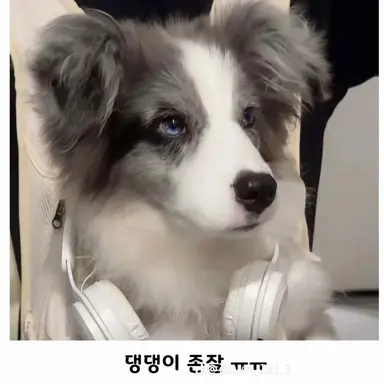 Profile image of 준