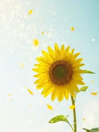 Kemuri_777_의 うちの猫は今日も可愛い。