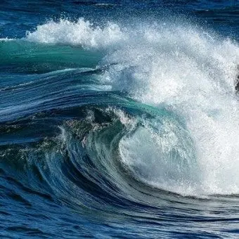 Profile image of 토미오카 기유