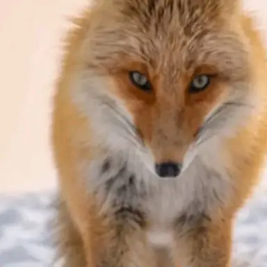 Profile image of 김지윤