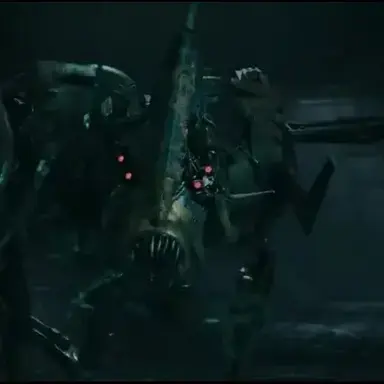 Profile image of 노바케인