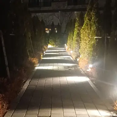 Profile image of 엘리트마법 대학교