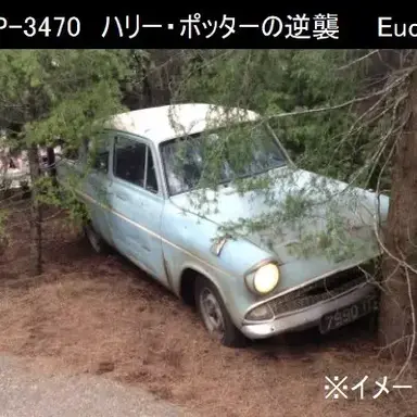 Profile image of SCP-3470