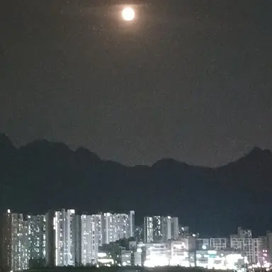 Profile image of 고구마머리