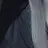 葵