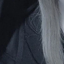 葵