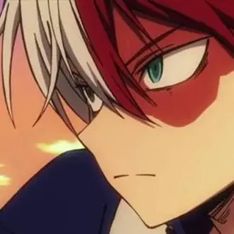 Profile image of Todoroki