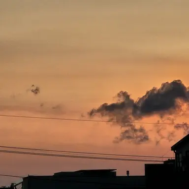 Profile image of 은