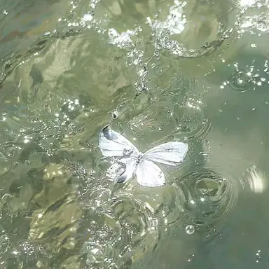 Profile image of 공룡