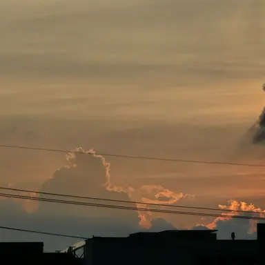 Profile image of 예을