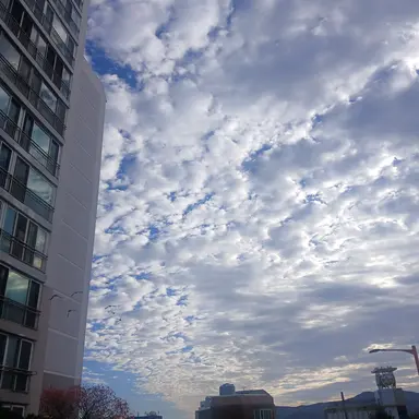 Profile image of 각별