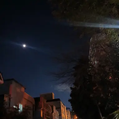 Profile image of 또니