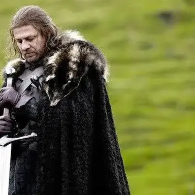 Profile image of Ned stark