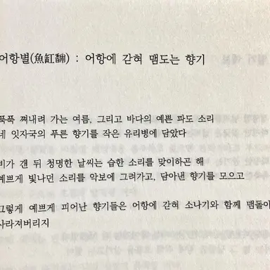 Profile image of 윤서진