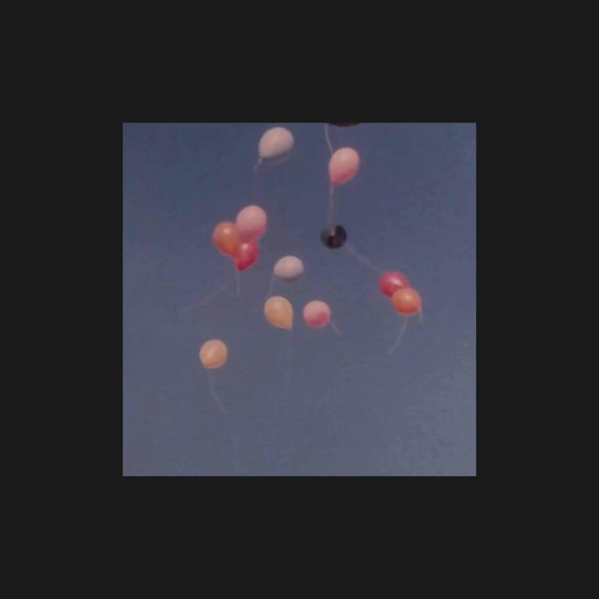 NOlR의 파크모