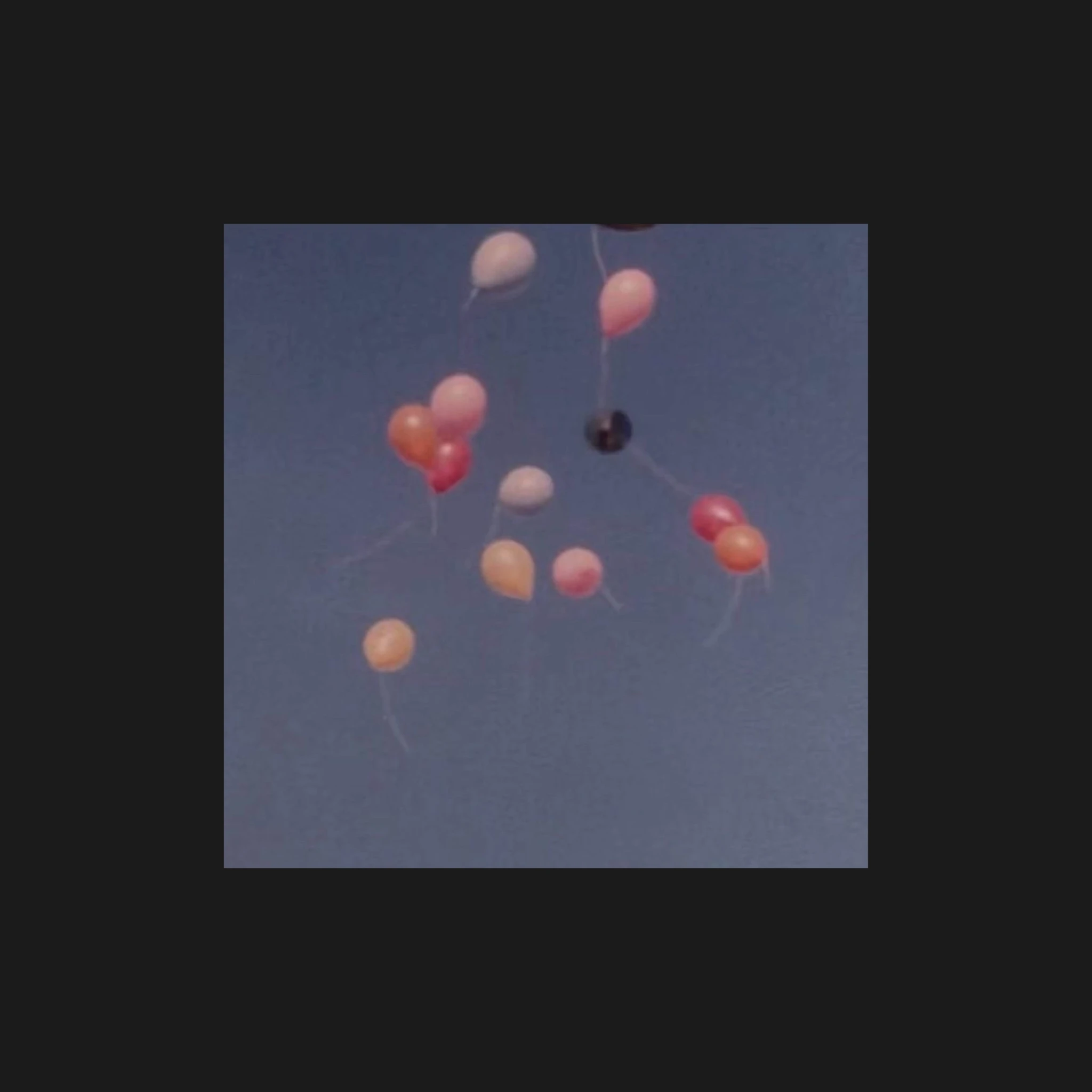 파크모