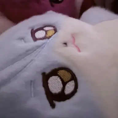 Profile image of おひめさま