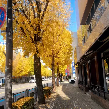 Profile image of 김각별