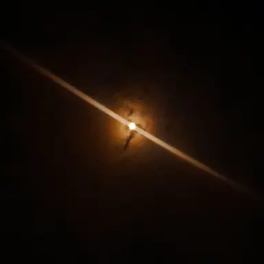 Profile image of 서라더