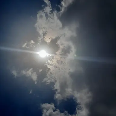 Profile image of 박잠뜰